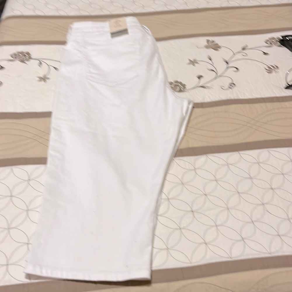 St Johns Bay Pet 16 NWT